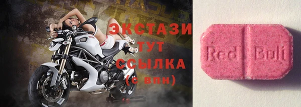 шишки Слюдянка