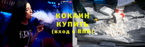 шишки Слюдянка