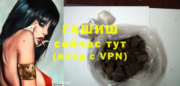 шишки Слюдянка