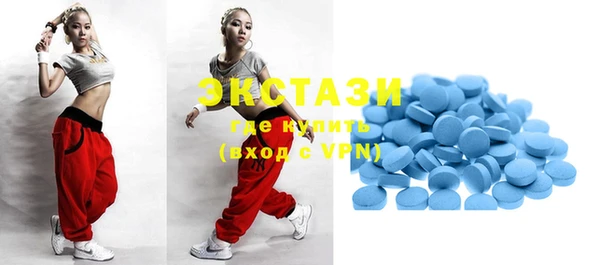 шишки Слюдянка