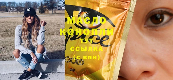 шишки Слюдянка