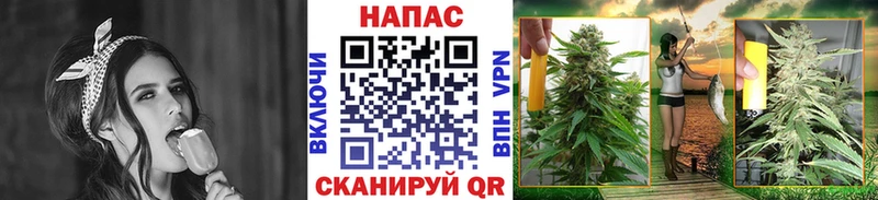 Бошки марихуана планчик Похвистнево